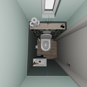 toilet_bgg_2410-01-01