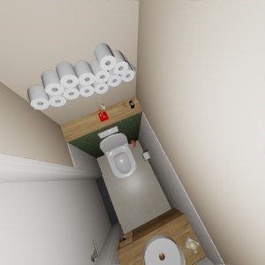Toilet_bgg_1109-02-02