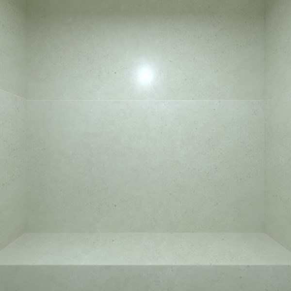 Венета_Дачева_WC-01