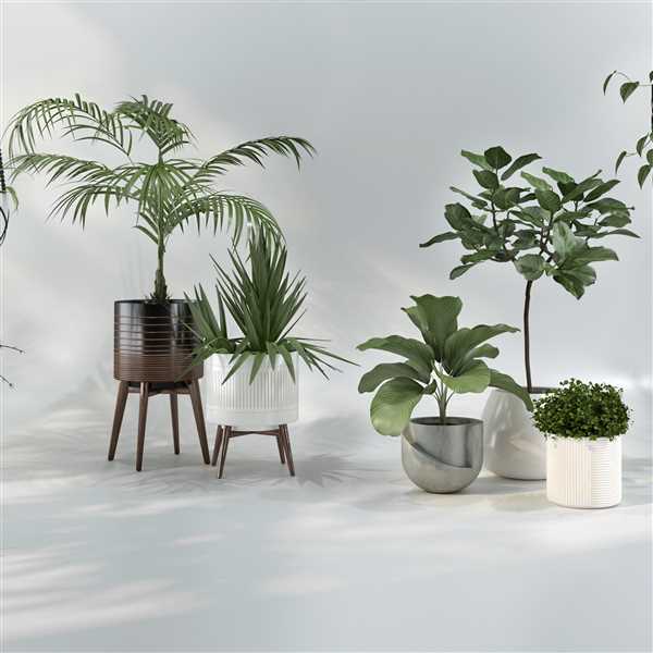ViSoftPlants 