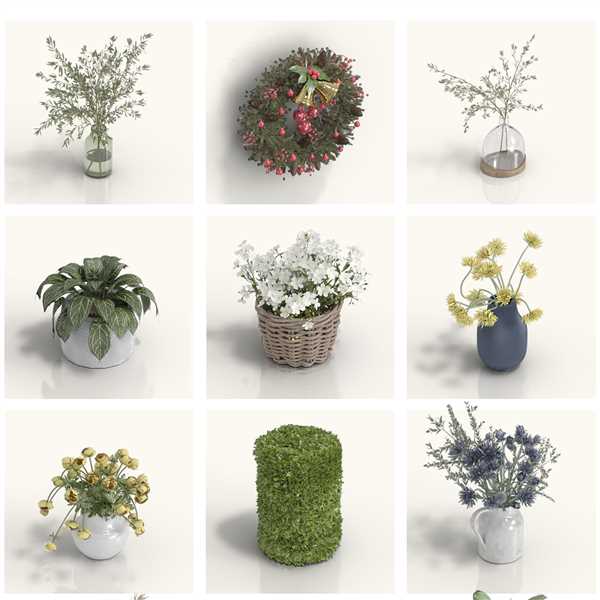 ViSoft Plants