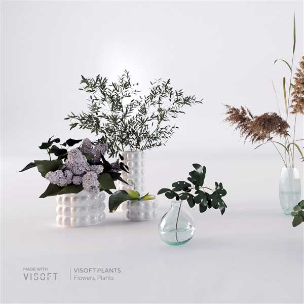 ViSoft Plant