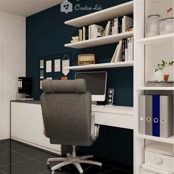 Irene_Study Area
