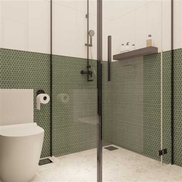 Nafisa_Bathroom