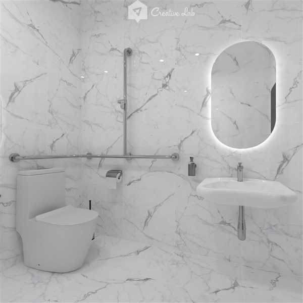 Zaidi_Toilet
