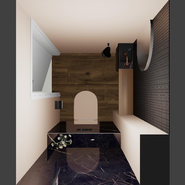 Martijn van der Veen toilet (Dora)