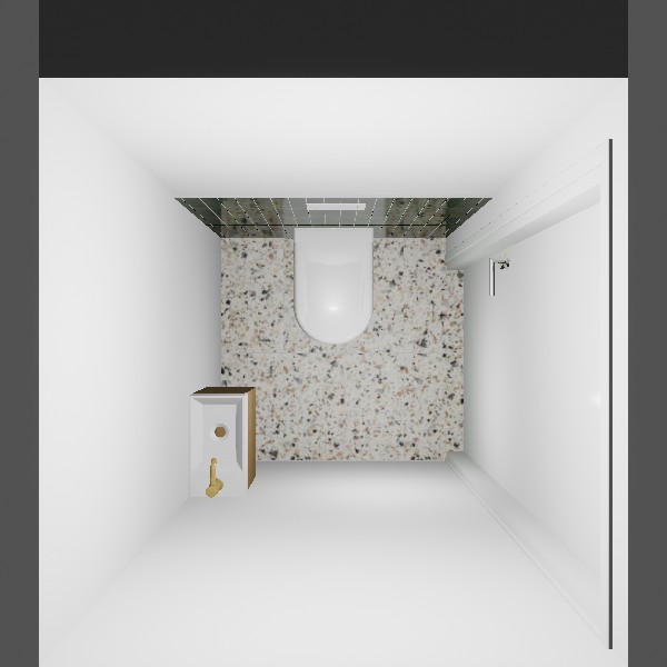 Rommy toilet beneden